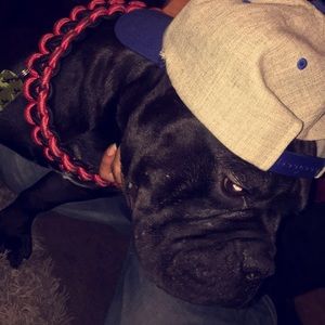 Meet your Posher, Diego